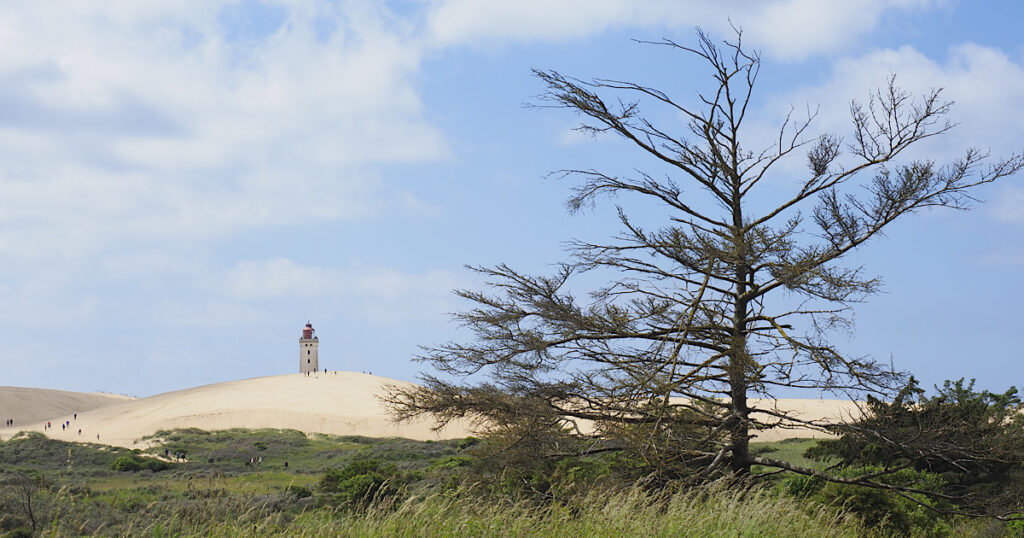 Blick auf den Rubjerg Fyr