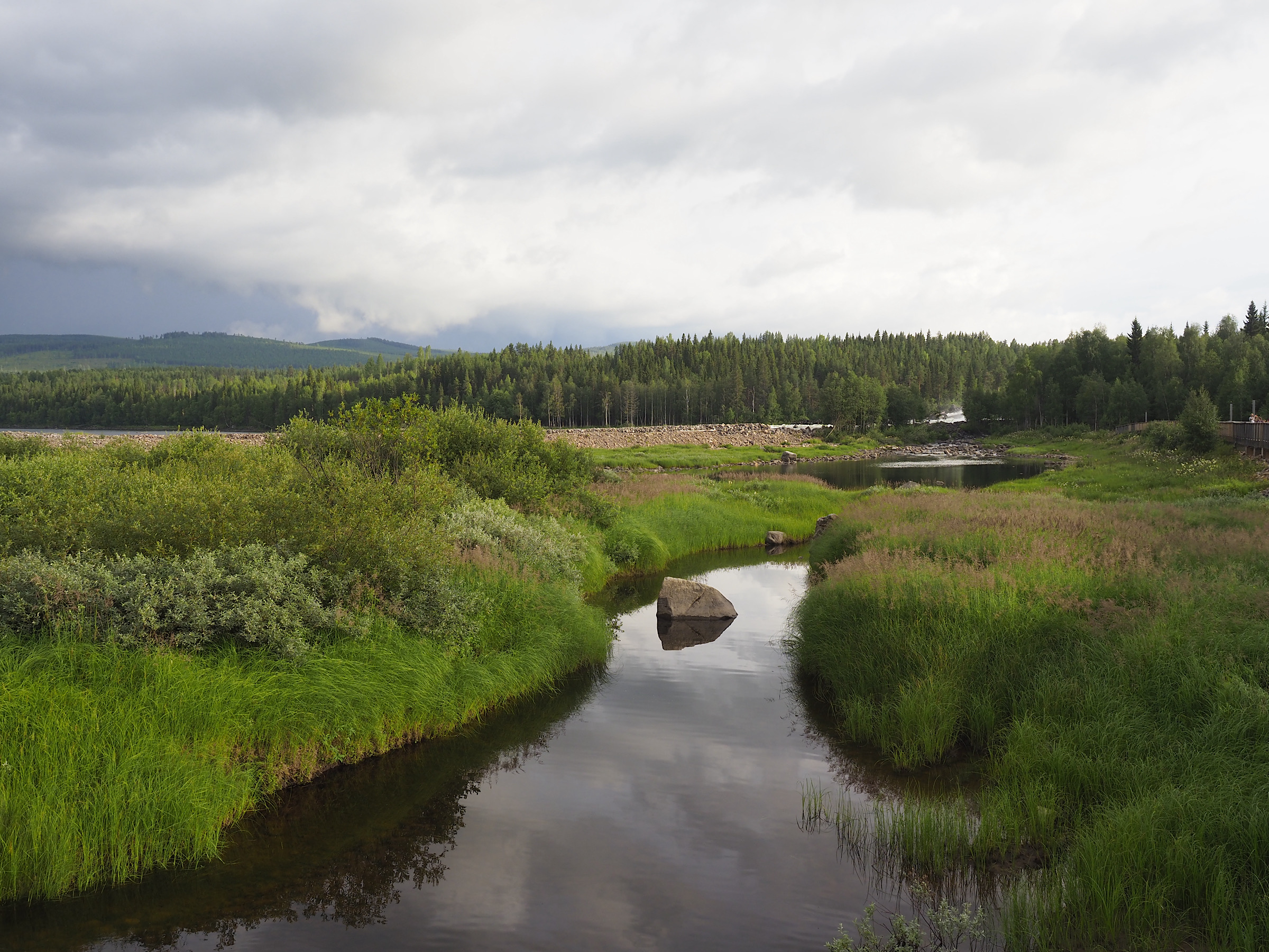 Landschaft am Storforsen