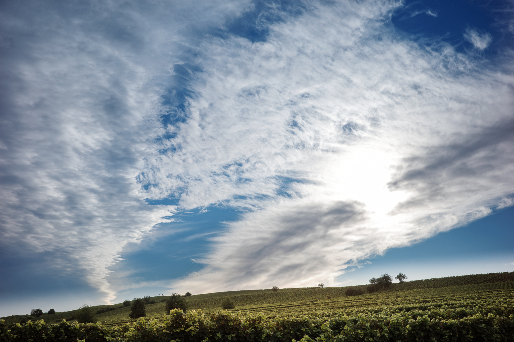 Abendhimmel über Bodenheim