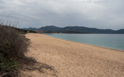 Plage de Campitellu – Einer der schönsten Strände Korsikas?