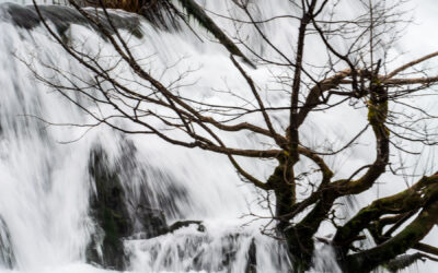 Im Bann des Wassers