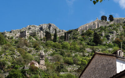 Kotor