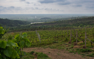 Guter Wein, gutes Essen und eine fantastische Aussicht
