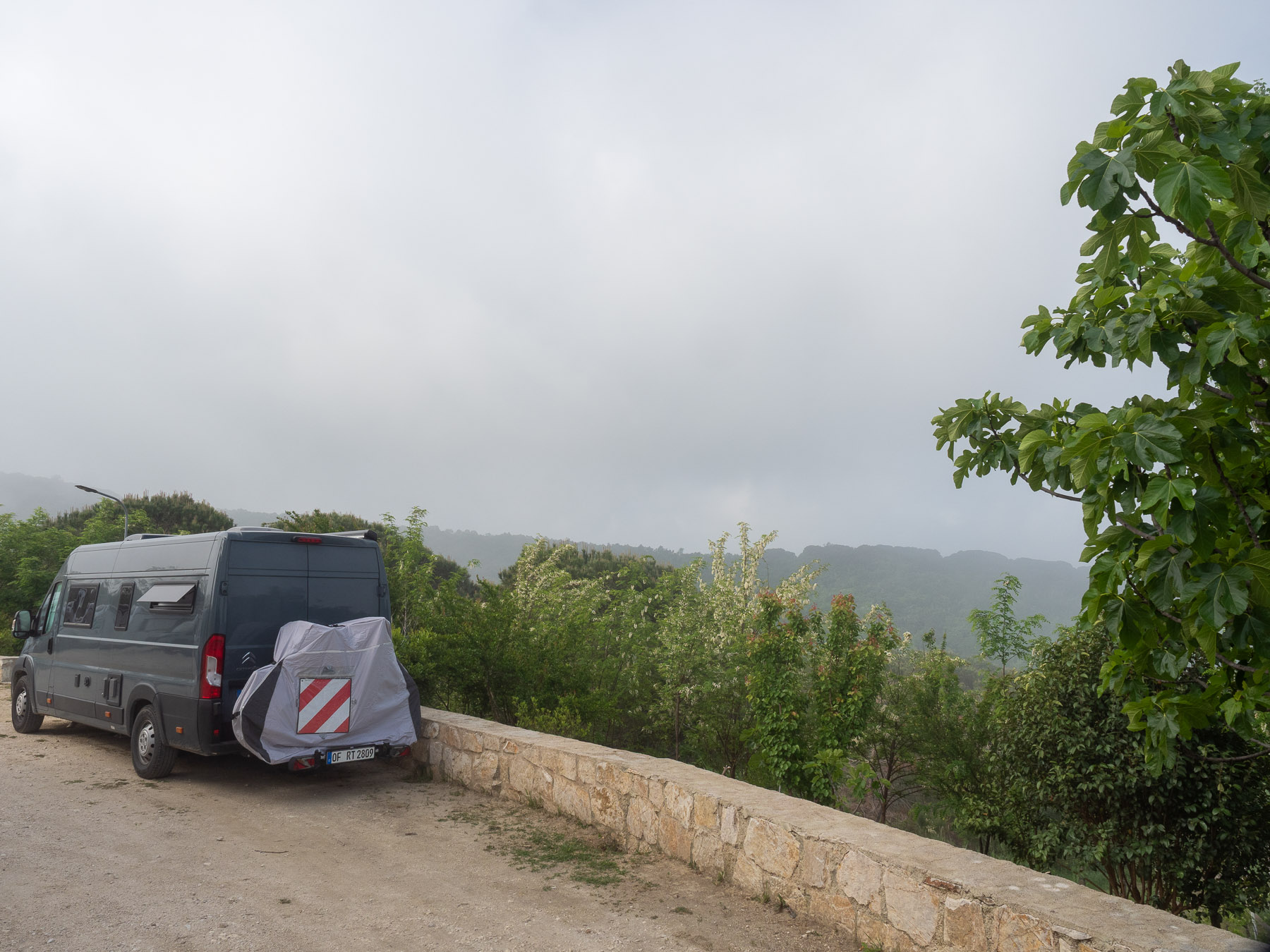 Albanica Wine