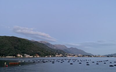 Bucht von Kotor