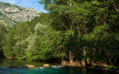 Abschied von Tirana – auf dem Weg nach Kroatien