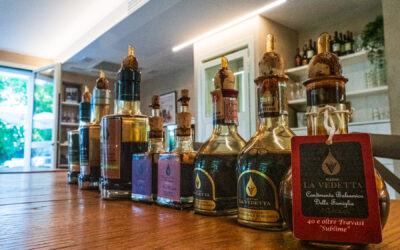 Agriturismo bei Modena – Ein Tag rund um Balsamico