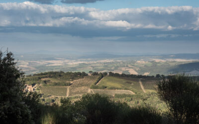 Fahrt nach Montalcino und Ankunft im Weingut