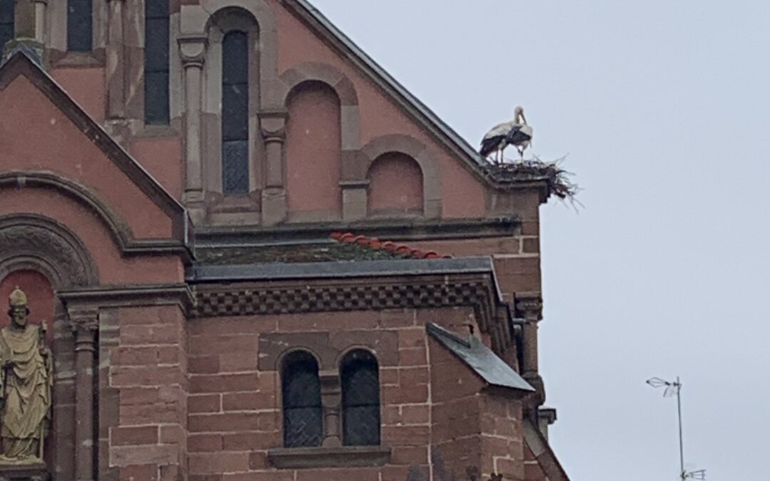 Entspannter Start mit kleinen Herausforderungen