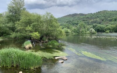 Thermalquellen in Ourense – ein Wohnmobiltag voller Umwege
