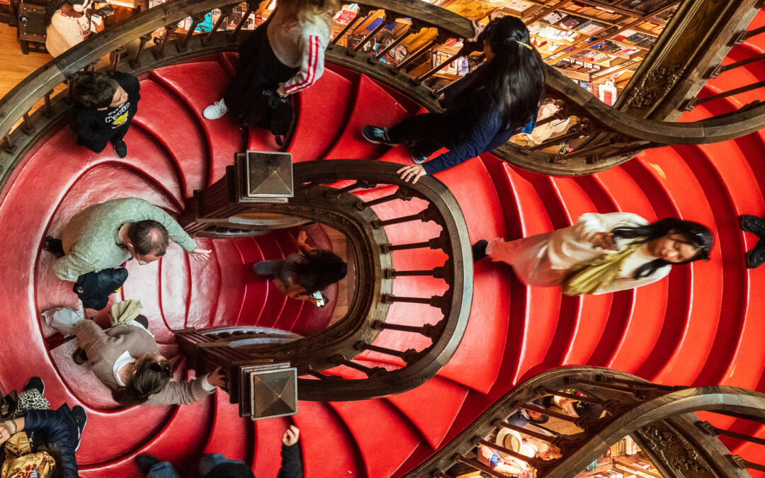Porto erleben: Kathedrale, Livraria Lello und kulinarische Entdeckungen