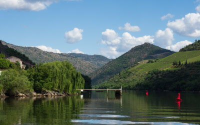 Mit dem Wohnmobil ins Douro-Tal – Weinberge, Bootstour und Pinhão