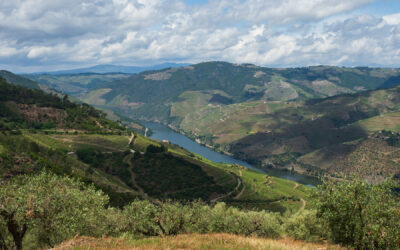 Abschied vom Douro-Tal und Ankunft in Costa Nova