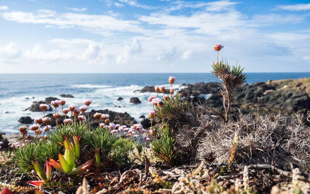 Flucht in den Süden – Unterwegs Richtung Algarve