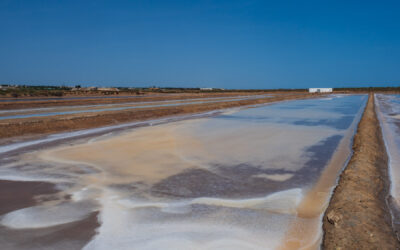 Tavira entdecken – Unser letzter Stopp an der Algarve