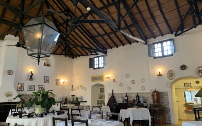 Ruhetag an der Algarve – Zwischen Markisen-Drama und Weinbar