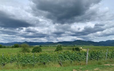 Wohnmobil-Rückreise mit Zwischenstopp im Markgräflerland